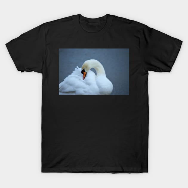 Mute Swan T-Shirt by LaurieMinor